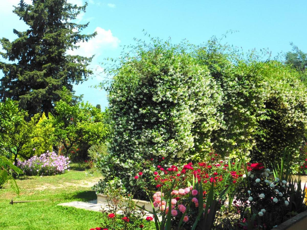 Вилла Olga'S Hill Перама Экстерьер фото
